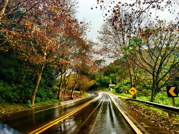 Rota romântica no Rio Grande do Sul.